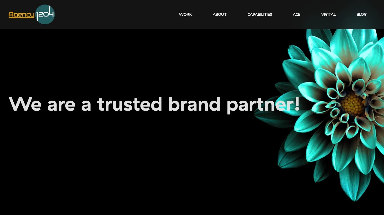 Fusion Softs - agency 1204 website portfolio image